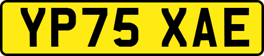 YP75XAE