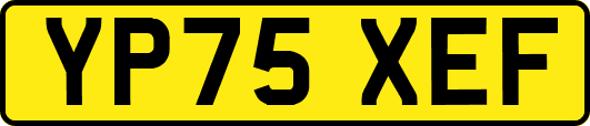 YP75XEF