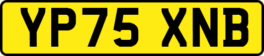 YP75XNB