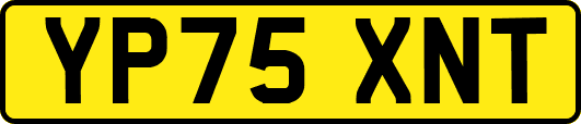 YP75XNT