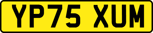 YP75XUM