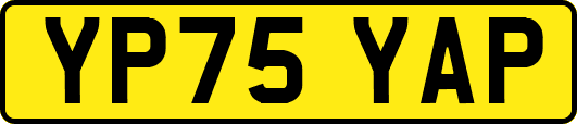 YP75YAP