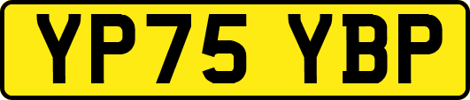 YP75YBP