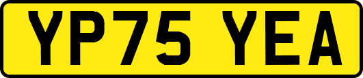 YP75YEA