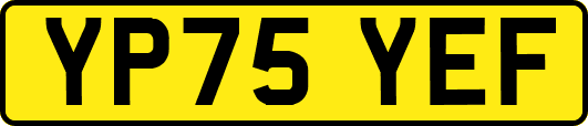 YP75YEF