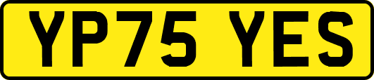 YP75YES