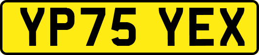 YP75YEX