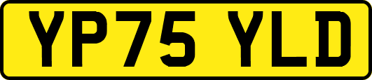 YP75YLD