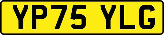 YP75YLG