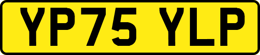 YP75YLP