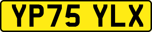YP75YLX