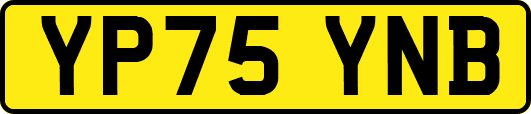 YP75YNB