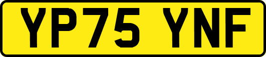 YP75YNF