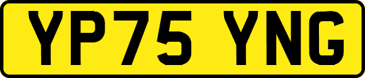 YP75YNG