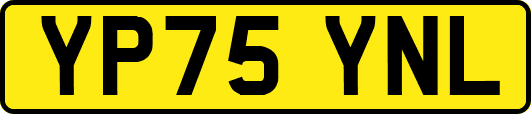 YP75YNL