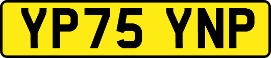YP75YNP
