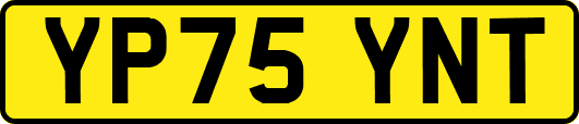 YP75YNT
