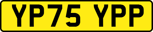 YP75YPP