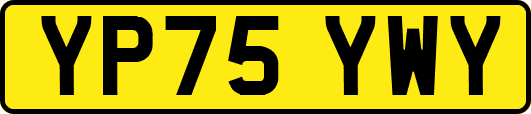 YP75YWY