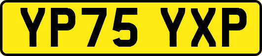YP75YXP