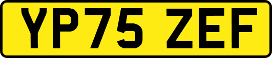 YP75ZEF