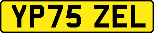 YP75ZEL
