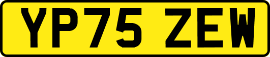 YP75ZEW