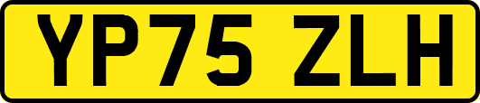 YP75ZLH