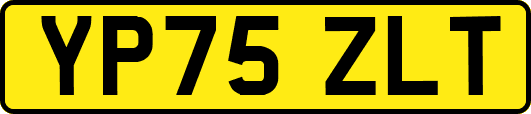 YP75ZLT