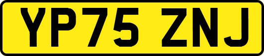 YP75ZNJ