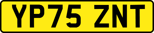 YP75ZNT