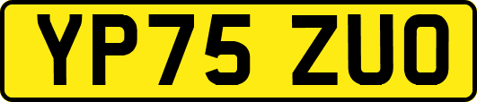 YP75ZUO