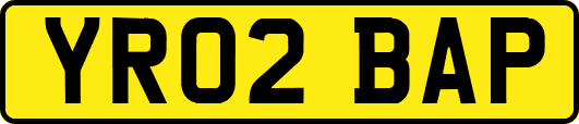 YR02BAP