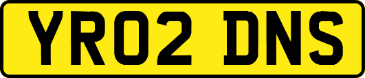 YR02DNS
