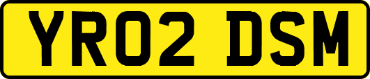 YR02DSM