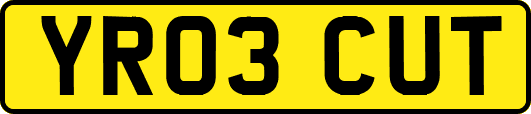 YR03CUT