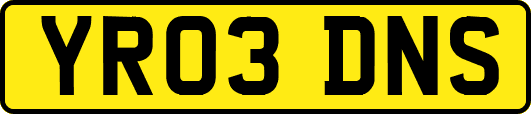 YR03DNS