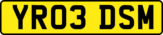 YR03DSM