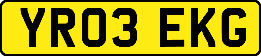 YR03EKG