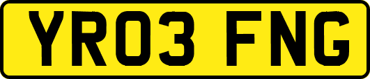 YR03FNG