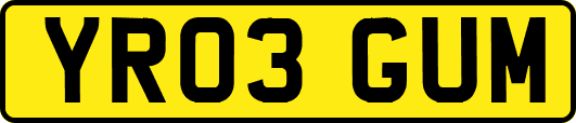 YR03GUM