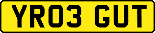 YR03GUT