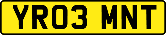 YR03MNT