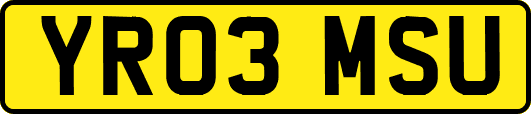 YR03MSU