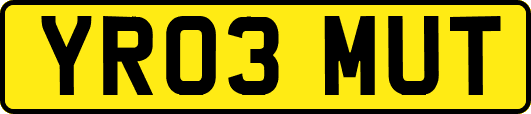YR03MUT