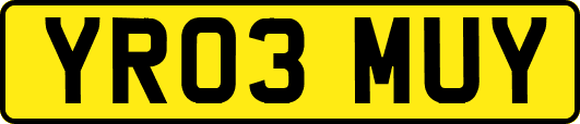 YR03MUY