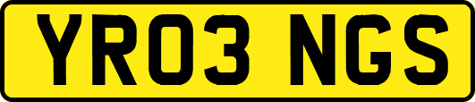 YR03NGS