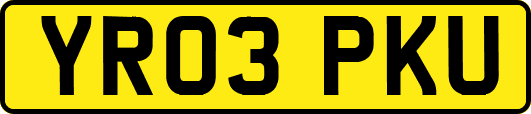 YR03PKU