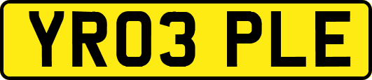 YR03PLE