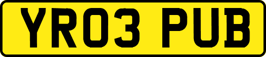 YR03PUB